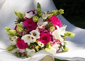 Timeline Photos